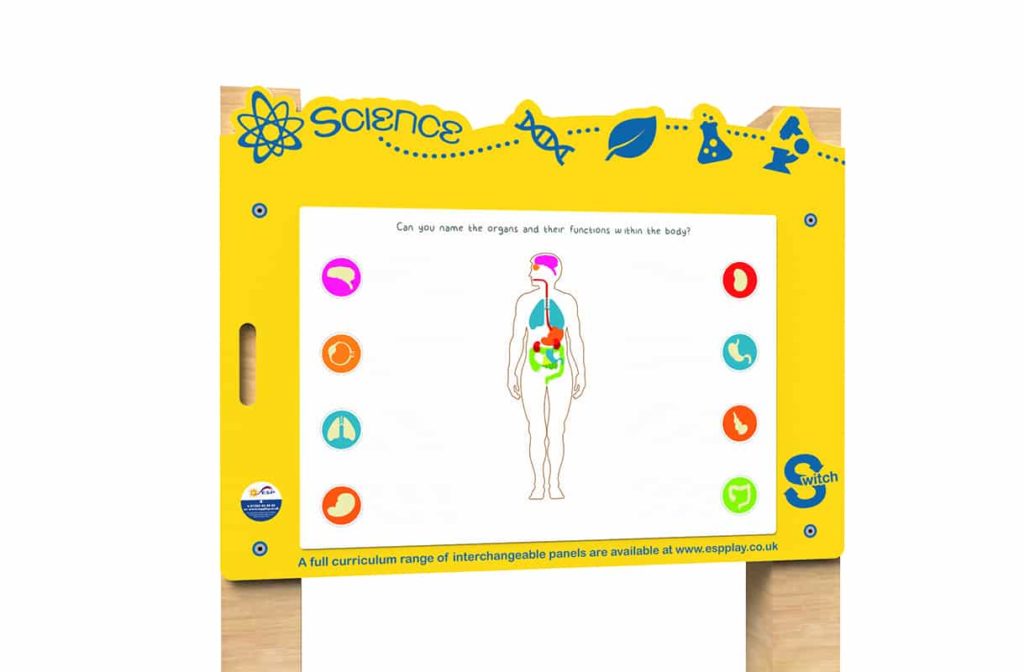 Switch – Organs of the Body Board