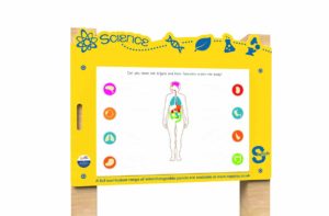 an image of a Switch - Organs of the Body Board