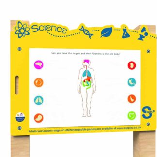 an image of a Switch - Organs of the Body Board