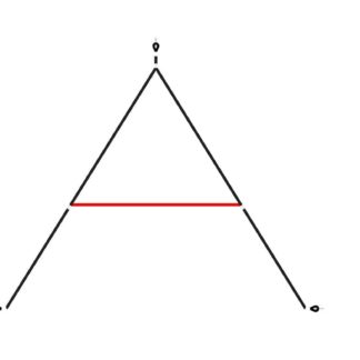 an image of a Switch - SW012 Advanced Ropework