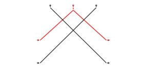 an image of a Switch - SW020 Advanced Ropework