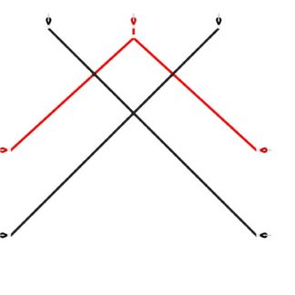 an image of a Switch - SW020 Advanced Ropework