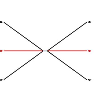 an image of a Switch - SW024 Advanced Ropework