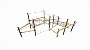 an image of a Jumping Spider