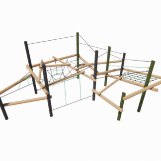 an image of a Jumping Spider