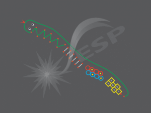 an image of a Agility Adder