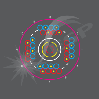 an image of a Multi-Skill Circle