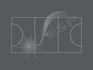 an image of our Court - Netball - Markings