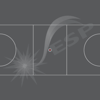 an image of our Court - Netball - Markings
