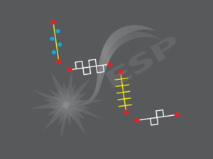 an image of a Trainer Trail