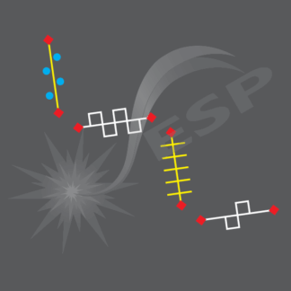 an image of a Trainer Trail