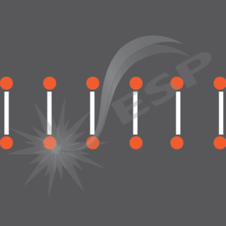 an image of our Hurdles