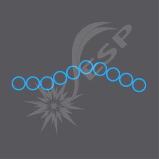 an image of a Blue Circle Ladder