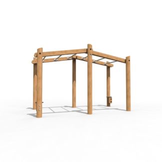 Jungle Bars - Advanced