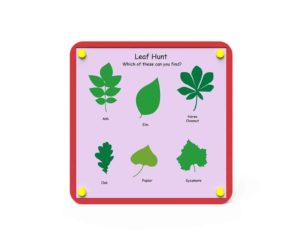 an image of a Nature Board - Leaf Hunt