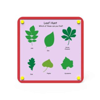 an image of a Nature Board - Leaf Hunt