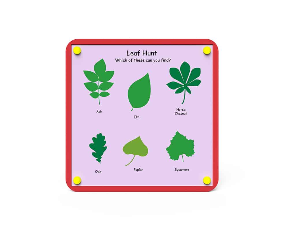 Nature Board – Leaf Hunt