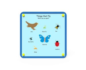 an image of a Nature Board - Things That Fly