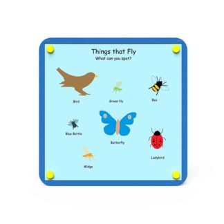 an image of a Nature Board - Things That Fly
