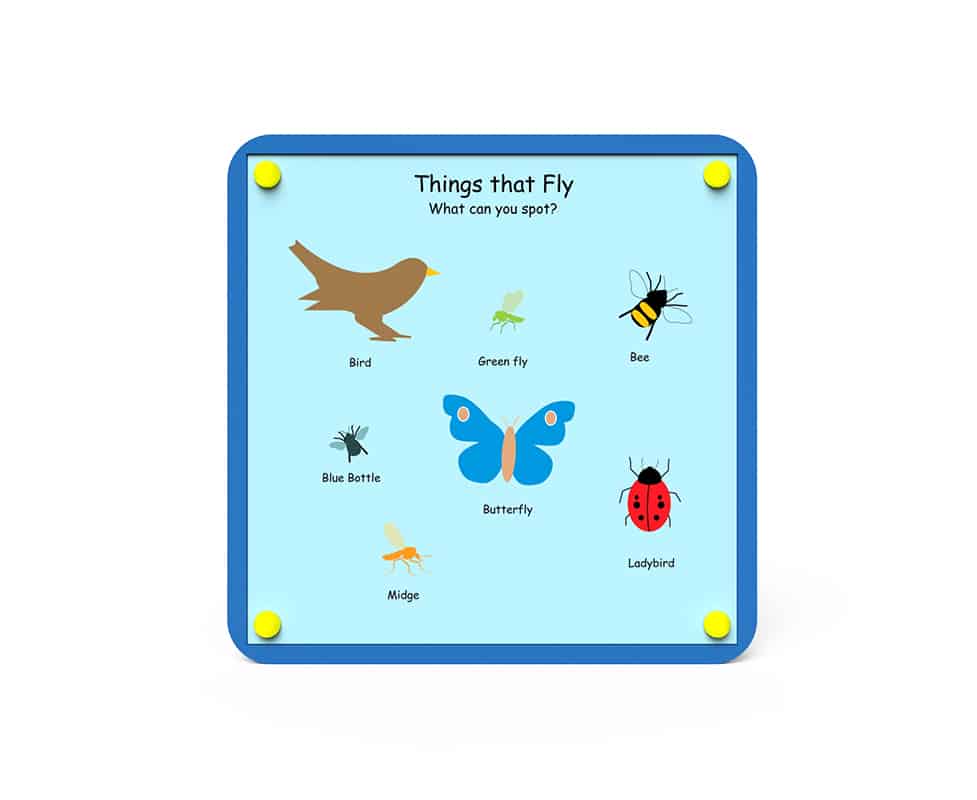Nature Board – Things That Fly