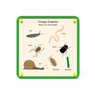 an image of a Nature Board - Creepy Crawlies