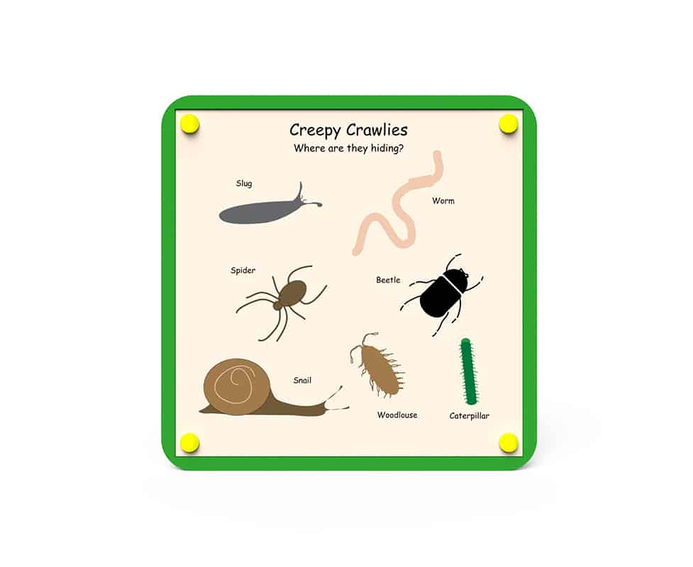 Nature Board – Creepy Crawlies