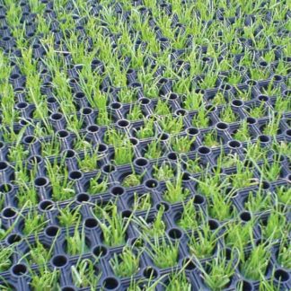 an image of our Grass Matting