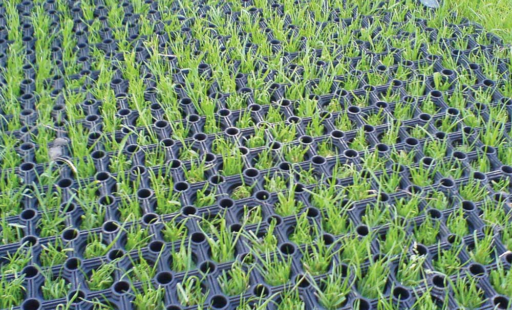 Grass Matting