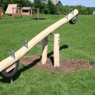 Robinia Dragonfly See-Saw