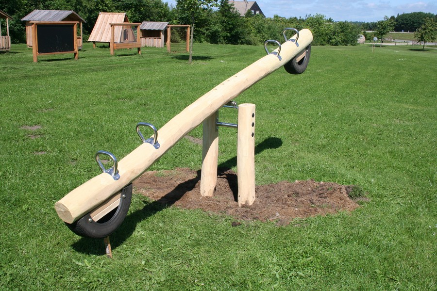 Robinia Dragonfly See-Saw