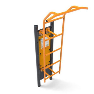 Fitness Standard - Ladder