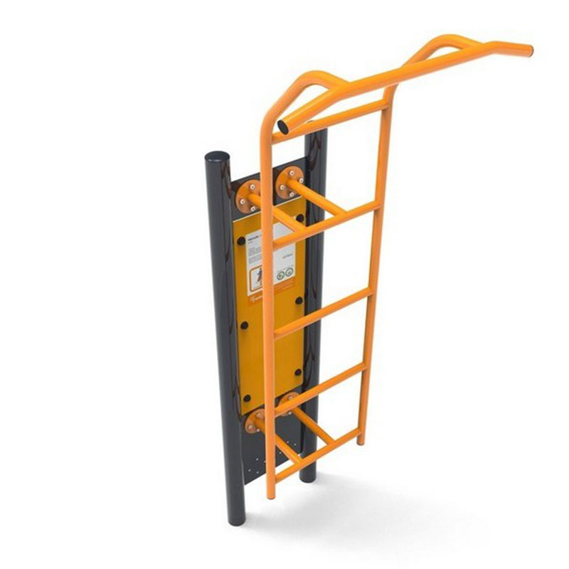 Fitness Standard – Ladder