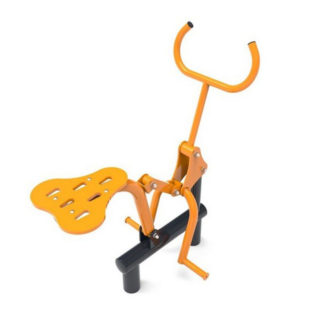 Fitness Standard - Rider