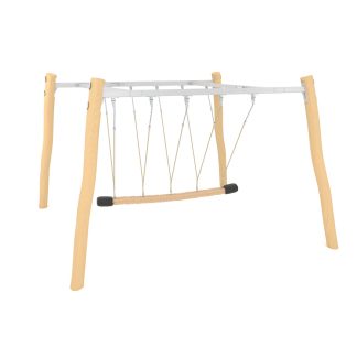 Robinia Rope Swing